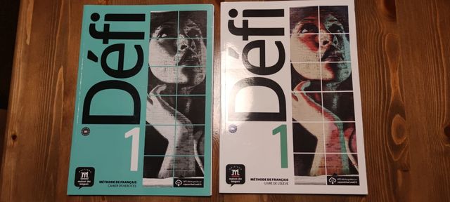 LIBRO DE FRANCÉS NIVEL 1