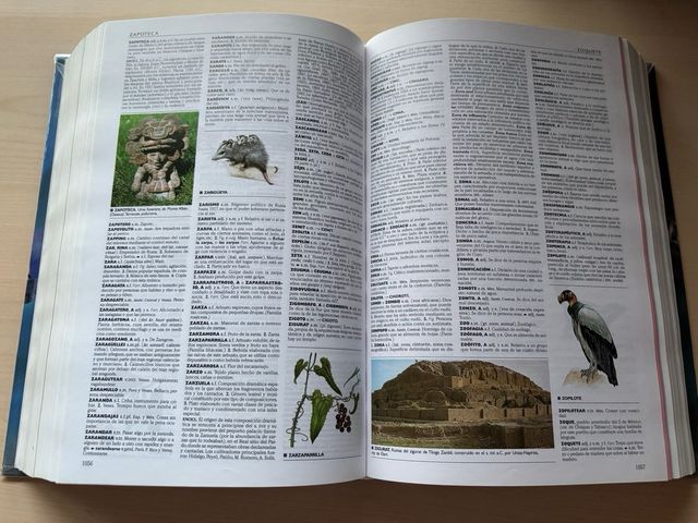 Diccionario enciclopedico escolar