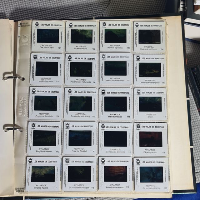 Diapositivas los secretos del mar. Cousteau.