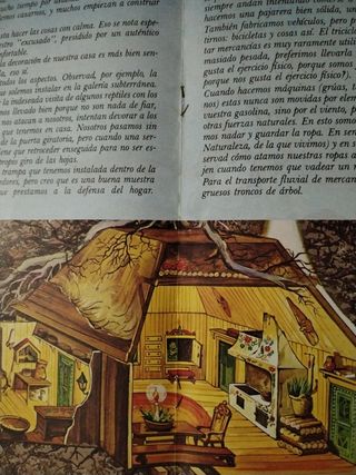 Album cromos Danone David el Gnomo