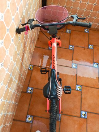 Bicicleta