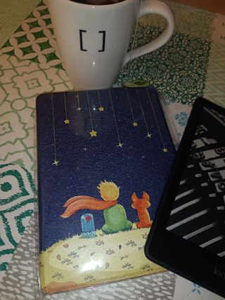 funda Kindle paperwhite 11 de 6,8" "El Principito"