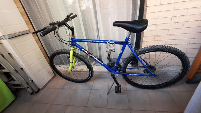 Bicicleta montaña
