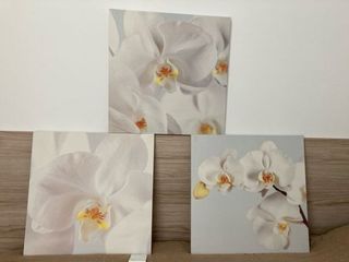 Triptico cuadros orquideas