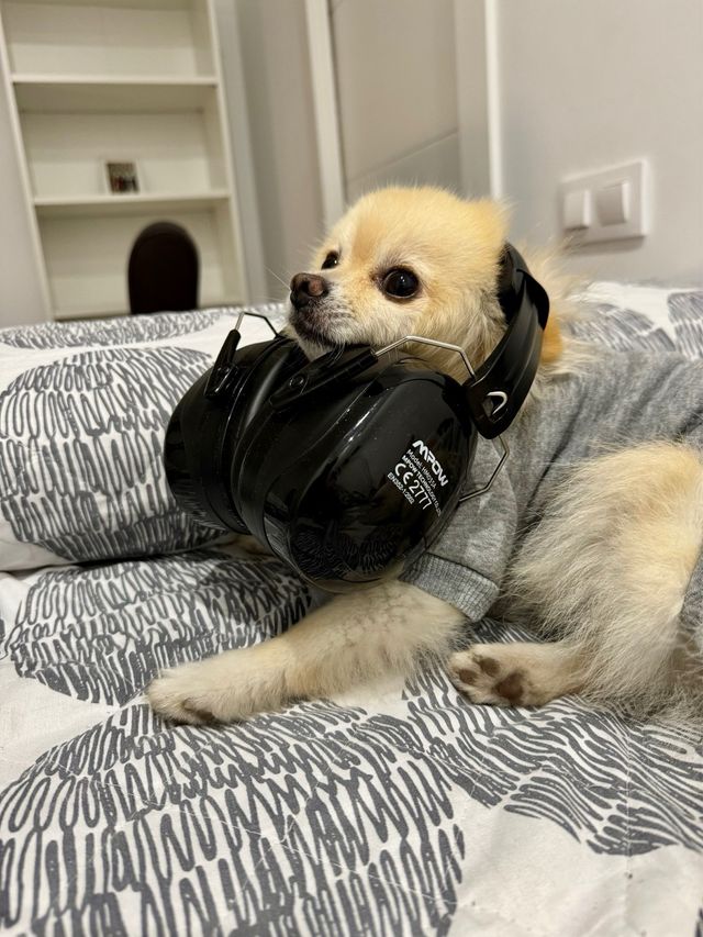 Cascos insonorizados MPOW