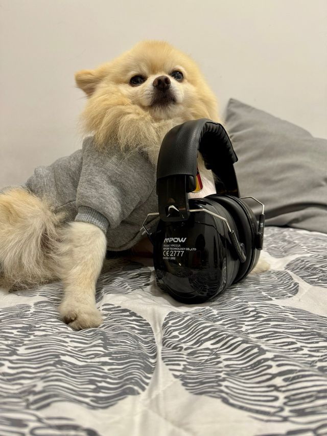 Cascos insonorizados MPOW