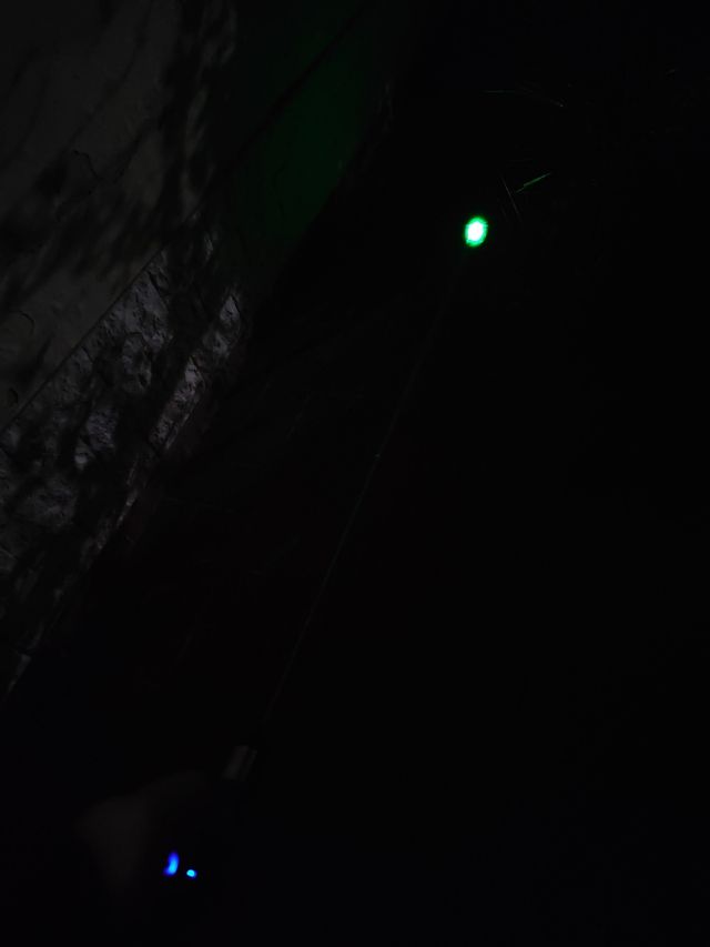 Puntatore Laser Professionale