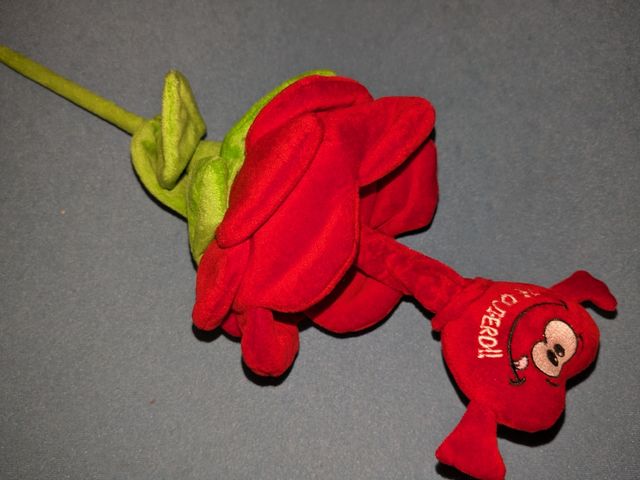 Rosa peluche