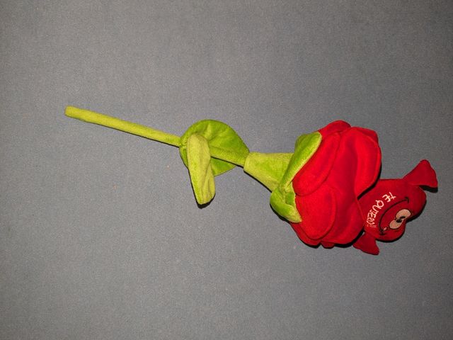 Rosa peluche