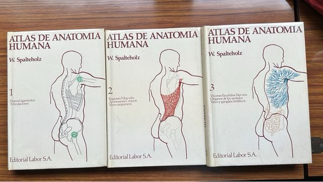 Atlas Anatomia Humana 3 Tomos. W. Spalteholz