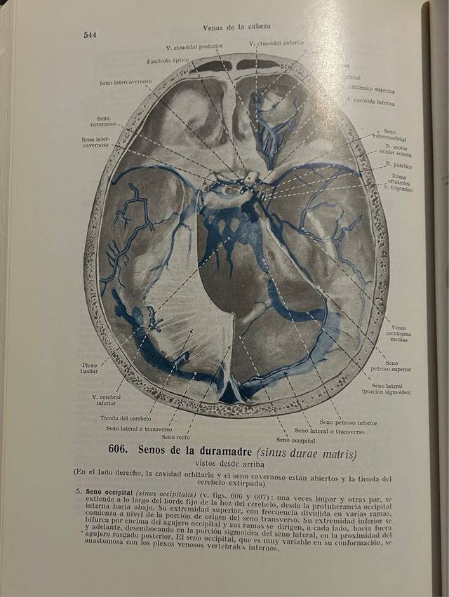 Atlas Anatomia Humana 3 Tomos. W. Spalteholz