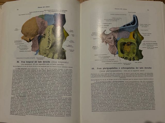 Atlas Anatomia Humana 3 Tomos. W. Spalteholz