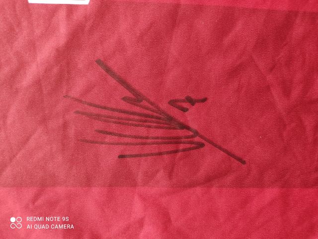 Camiseta firmada futbol 7 Álvaro Morata