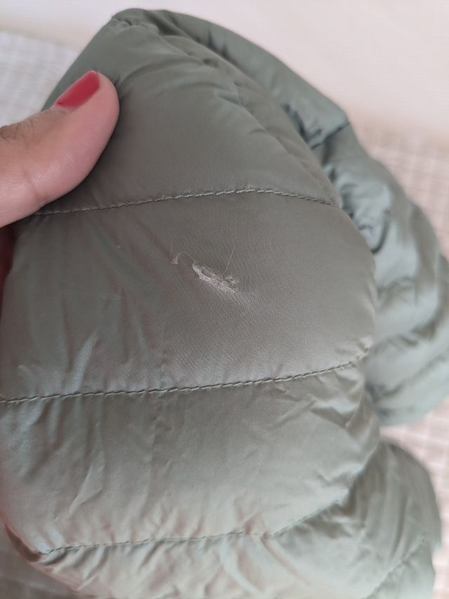 Jott plumifero niña