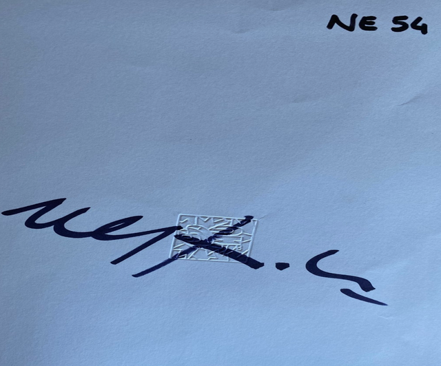 Ugo Nespolo (1941) - Fantasia 2011