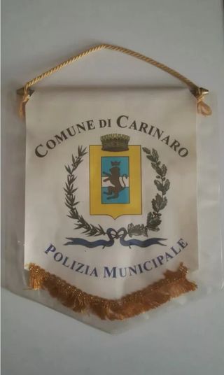 GAGLIARDETTO Araldica Vintage stemma militare