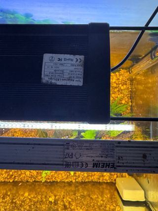 Acuario eheim 240l