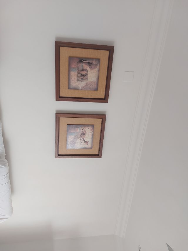 pareja de cuadros diseño piel