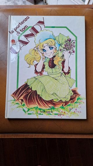 Libro Candy Candy 1980