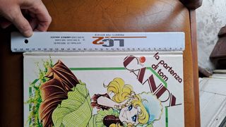 Libro Candy Candy 1980