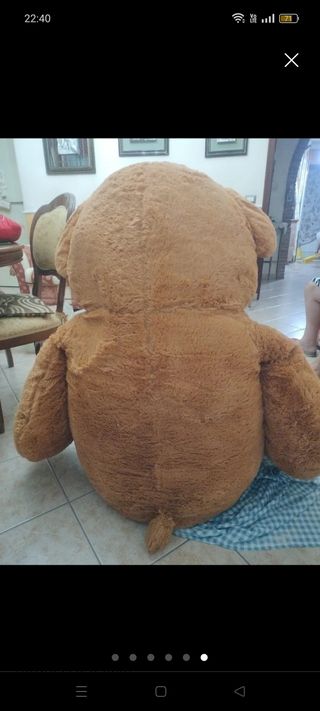 Orso di peluche 