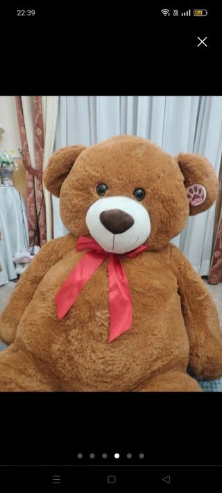 Orso di peluche 