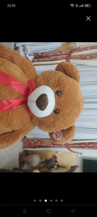 Orso di peluche 