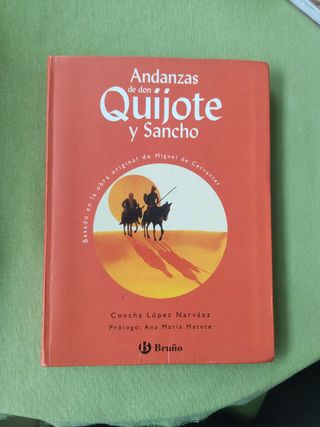 Don Quijote de La Mancha
