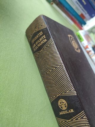 Don Quijote de La Mancha