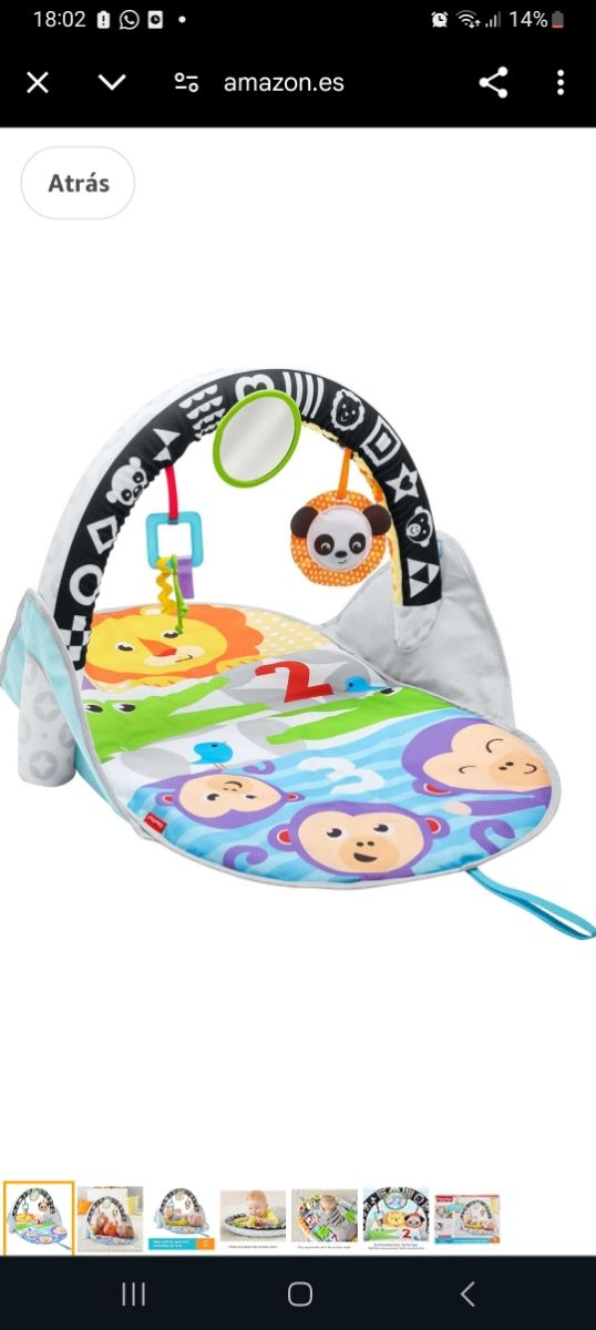 Palestra per bambini Fisher Price