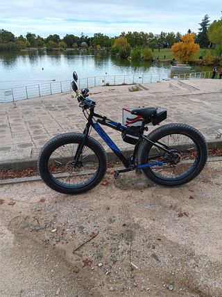Bicicleta eléctrica