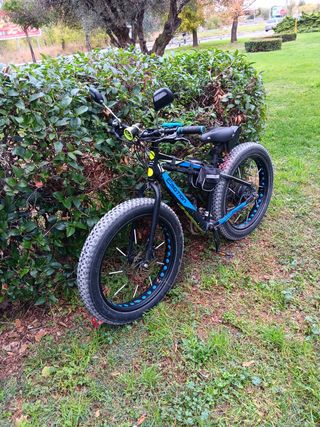 Bicicleta eléctrica