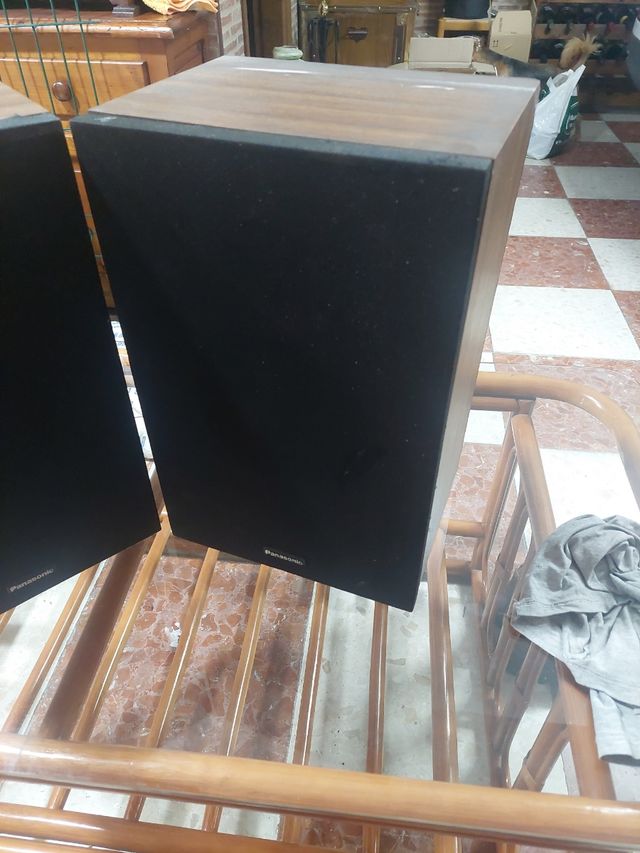 altavoces panasonic
