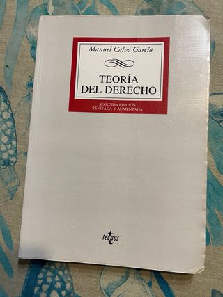Libro teoria del derecho