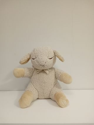 Peluche con sonidos relajantes