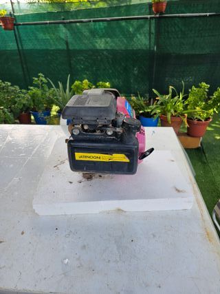 Motor 4 tiempos de gasolina 5CV