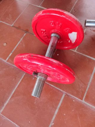 Mancuernas de 12 kg
