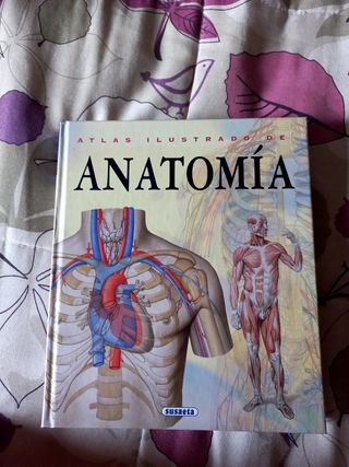 Atlas ilustrado de anatomía susaeta