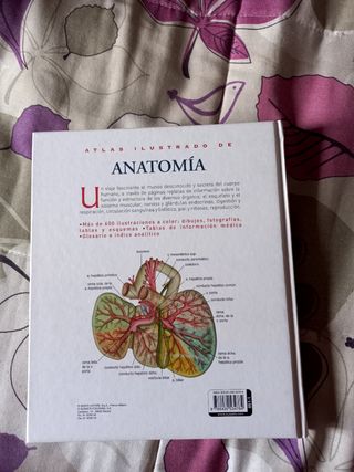 Atlas ilustrado de anatomía susaeta