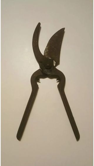 Antiche cesoie forbici vintage forbicioni