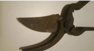 Antiche cesoie forbici vintage forbicioni