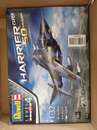 Harrier GR1 50 Years