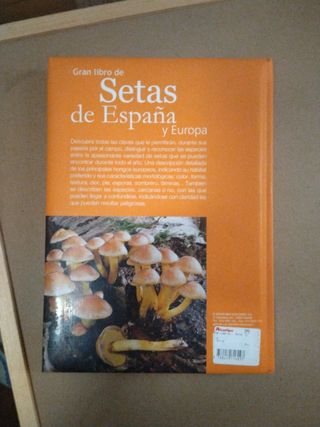 Setas de España y europa 
