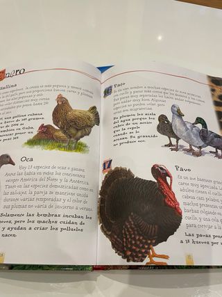 Pack de libros infantiles