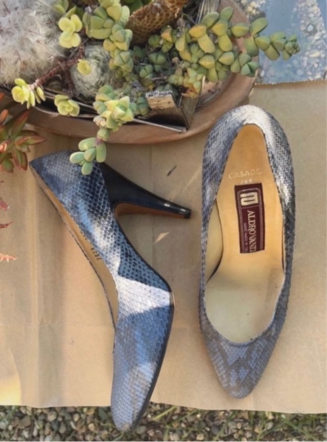 Casadei pump in rettile