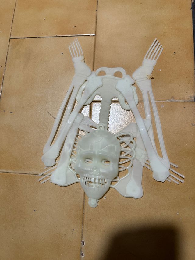 Bruxas Animadas 3+ 1 Esqueleto Reflexivo 44€