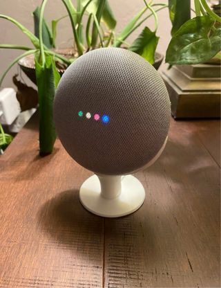 Supporto google home mini