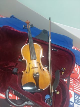 Viola