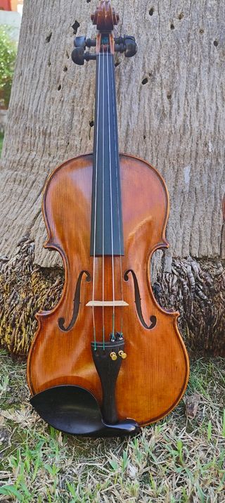Violín 4/4 patrón Guarneri del Gesu.