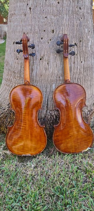 Violín 4/4 patrón Guarneri del Gesu.